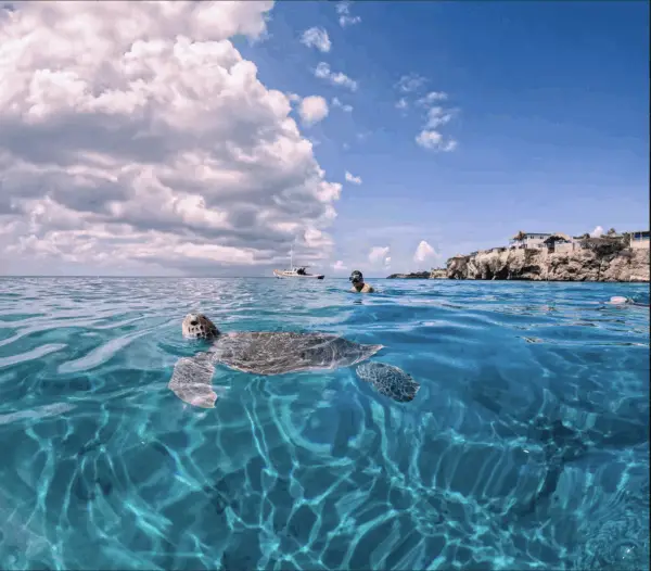 Underwater adventures in Curaçao